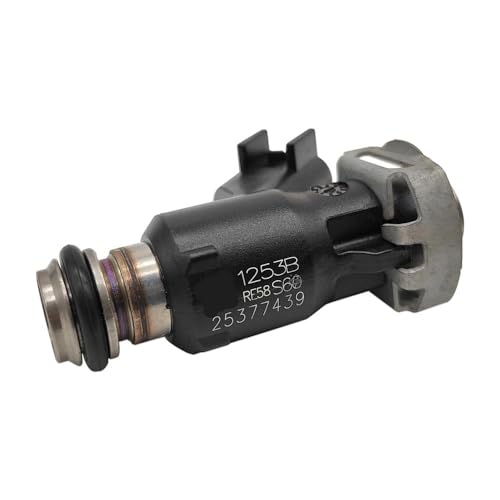 Injecteur de carburant 2 trous pour réparer les ratés moteur Hisun 700