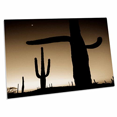 Pad para escritorio 3dRose Saguaro Cactus 58x40 cm miniatura 1