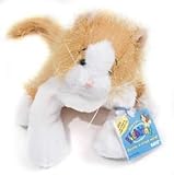 Webkinz Orange Cat