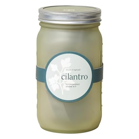 Modern Sprout Glass Jar Grow Set, Indoor Herb Garden, Seed Starter Set, Organic, Non-GMO, Cilantro in Green Jar Cover