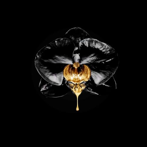 L’Oréal Paris - Mascara Volume Millions de Cils - Volume et Définition Cils Démultipliés - Brosse Elastomère avec Essoreur Doseur - Sans Paquets - Noir