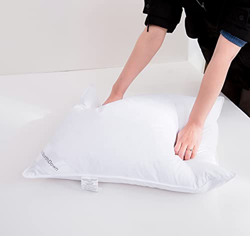 Almohada plumón de ganso estándar blanca suave miniatura 5