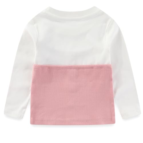 Image of Peacolate 2-7T Spring Fall Summer Little Girls 2pcs Clothing Set T Shirt and Jeans