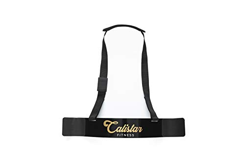 Calistar Fitness Arm Curl Blaster  Isolator for Biceps and Triceps  Premium Weight Lifting Belts for Men and Women  Soft Neoprene Padding  Adjustable Strap  Highly Durable Aluminum