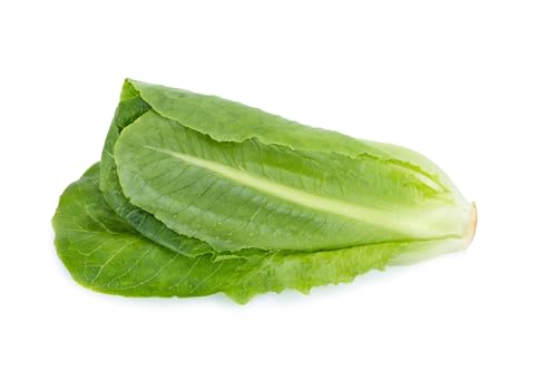 Just Seed - Vegetable - Lettuce - Winter Density - 500 Seed - Economy Pack