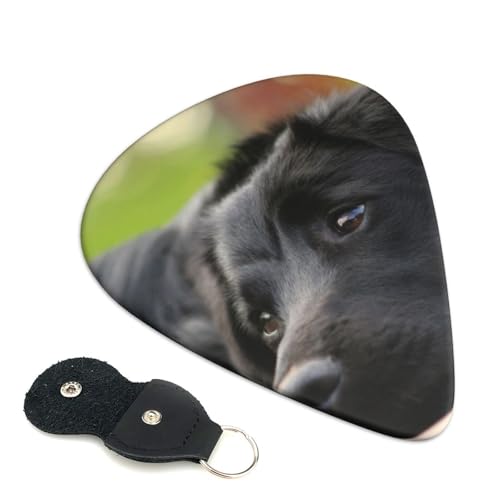 vX`bNsbN 킢GLM^[sbN ubNuh[J~[go[ y Aj t@bV yD S gCAO sbN 6Zbg 0.71mm