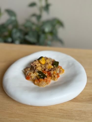 Walky Holiday gg͂̒N[V`[ p͂ pV`[ Y Y Oet[ AQt[