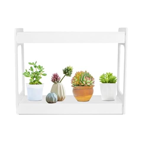 Indoor Herb Garden Light，Auto Smart Cycle Timer Funtion, Plant Grow Lamps Great Starter Unit for Growing Herb/Plant Seeds，for Succulent, Rosemary, Vegetable, Basil(1 Layers) Cover