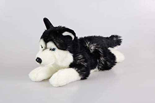 Teddys Rothenburg Kuscheltier Husky 38 cm Plüschtier Hund Stofftier Plüschhusky dunkel Kuschelhusky Stoffhusky schwarz Uni-Toys