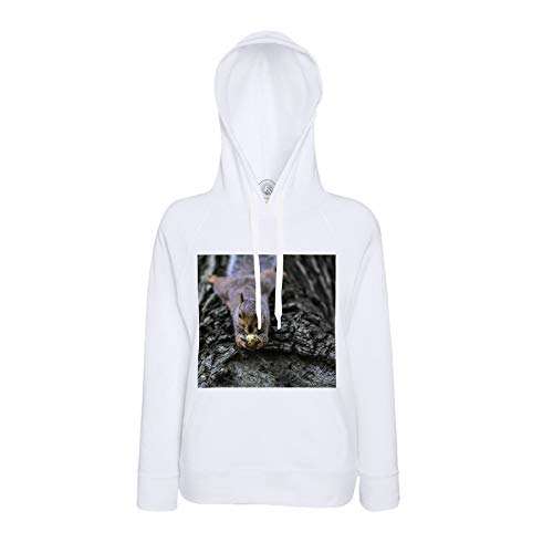 Sweat à capuche écureuil roux imprimé sweat-shirt nature motif animalier