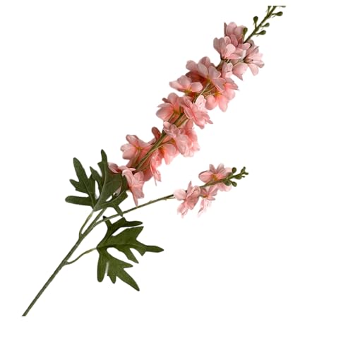 oCIbg tFCN t[ AWg  ZvV fR[V ȒP eiX z[ p[eB[ fBXvC t[ t[AWg