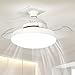 Imagen de Hiemible Ventilador De Techo Moderno Con Luz LED