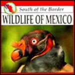 Wildlife of Mexico (South of the Border) 1559160551 Book Cover