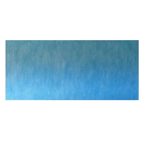 Schmutzfangmatte, saugfähig, vorgeschnitten, 90 x 200 cm