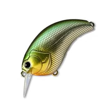 Amazon | デプス(Deps) EVOKE(イヴォーク) 1.8 55mm #01