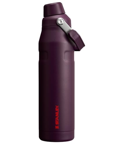 Image of Stanley IceFlow Fast Flow Water Bottle | Angled Spout Lid | Lightweight & Leakproof for Travel & Sports | Insulated Stainless Steel | BPA-Free