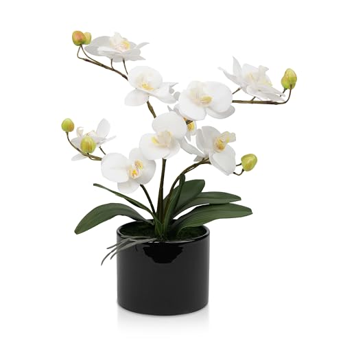 Crystals Artificial Orchid Flower in Pot – Realistic Faux Orchid Plant Decoration for Home, Office, or Event – Elegant White Floral Display – No Maintenance Required (Design 1)