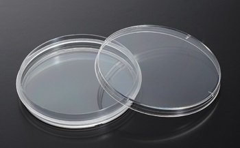 EarthOx Sterile Tissue Culture Dishes 100 mm (60.8 cm2)(Surface Treated)(10 Dishes)