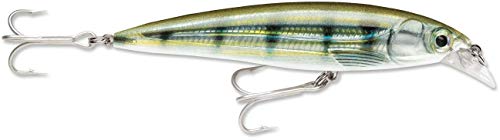 Rapala X-Rap Saltwater Jerkbait