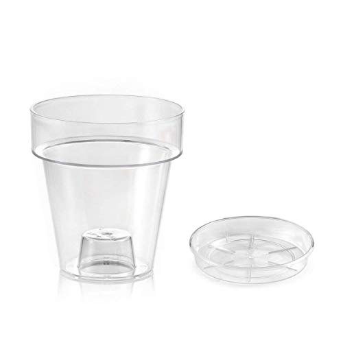 Teraplast Porto Vase with Holder for Orchids Diameter 14 cm Transparent with Saucer