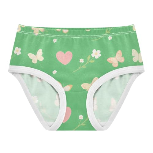 GuoChe Organic Cotton Panties Panties Comfort Underwear for Toddlers in Sizes 2T,3T, 4T, 5T, 6Y and 8Y