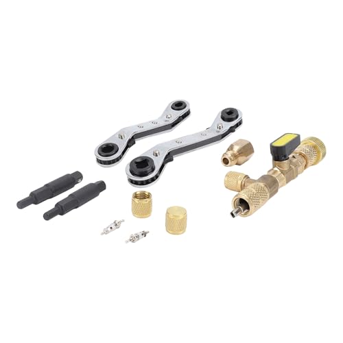 バルブコアリムーバーツール デュアルサイズ SAE 1/4インチと5/16インチ対応 R22 R12 R407 R410 R404 R32用エアコンシステム用バルブコア取外しインストーラー (36pcセット)