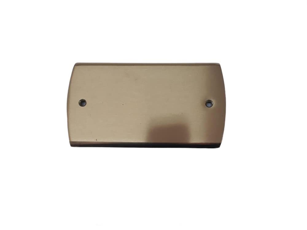 Namensschild aus satiniertem Messing, 12 x 7 cm, 1 oder 2 Linien, englisch oder mit 2 Löchern, graviert, kompatibel mit Schlüsselkasten 503, personalisierbar oder verstorbenes Schild + 1