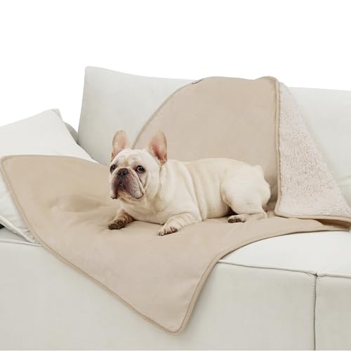 Wasserdichte Hundedecke Mittelgroße Hunde - 100x80cm, waschbar, flauschig und weich, Cremefarbe