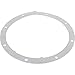 Waterway Plastics 806105124425 Vinyl Liner Gasket Body