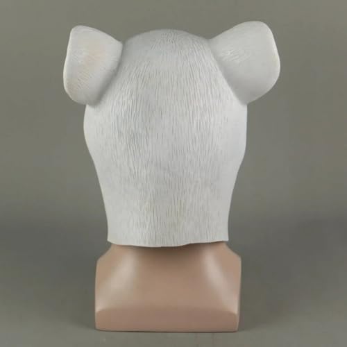 Photo complémentaire