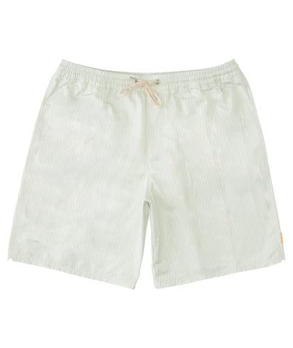 Quiksilver Men's Standard Deck Stripe Volley Swim Trunk Bathing Suit