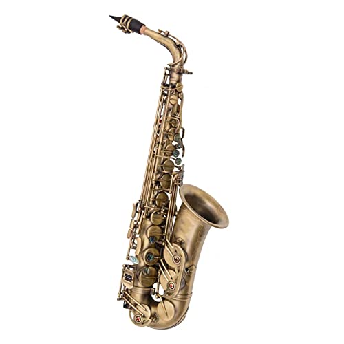 TSTS E-Flat Alto Saxophone ͏S҂lvĈɓKĂ܂ ^JTbNX tLbg(J[: 7)