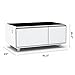 RuiSiSi Smart Coffee Table with Built-in Fridge, Bluetooth Speaker, Wireless Charging, Touch Control Panel, USB Interface, Outlet Protection, Atmosphere Light, Living Room Table, BWhite