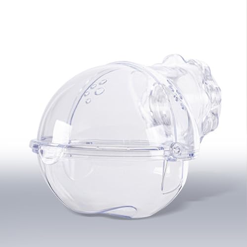 nX^[P[Wp gp[cyJ[upCvzAgl ]  (43cmE62cmP[W) (F-`oX[)