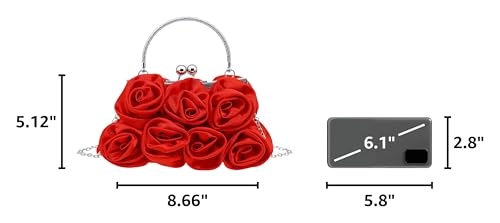 Image of Women Evening Clutch