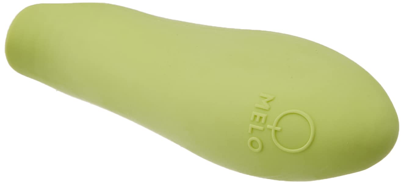 IRO Set 100 - Custodia per spazzolino da denti adattabile Verde