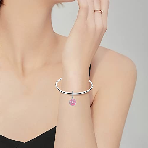Family Love Mother Daughter Grandma Charm 925 Sterling Silver fits Bracelets Necklace Pendant Bead Charms Jewelry Gift for Women Family Friends3