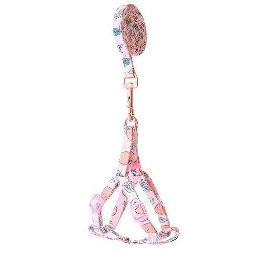 Harikaji ybgn[lX [ht t[cX^C pn[lX vI ߉\ y L n[lX [VZbg L q ^  L