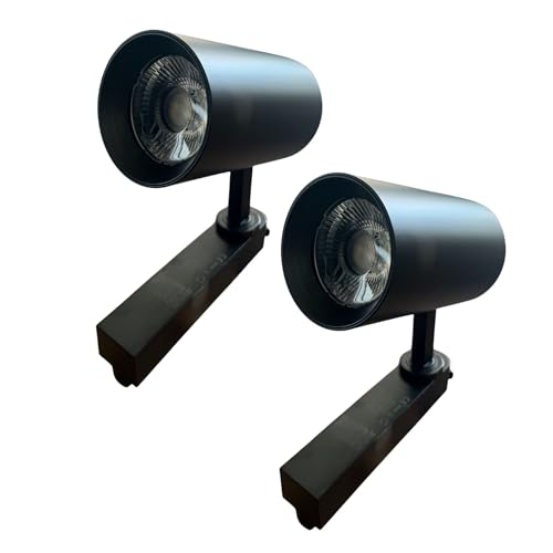 A2ZWORLD 2 focos LED de riel monofásico 30 W 2600 lm 220 V, cuerpo negro, luz blanca neutra 4000 K, ángulo 36° CRI90, D80 x 138 mm