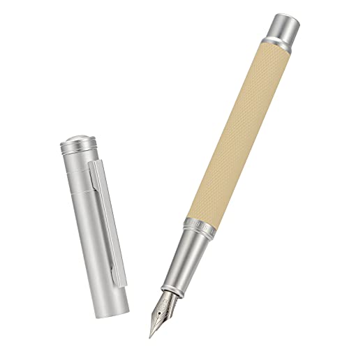 Image of Silver Birch Forest Aluminum Fountain Pen Extra Fine Nib with Converter and Metal Case Set By Asvine