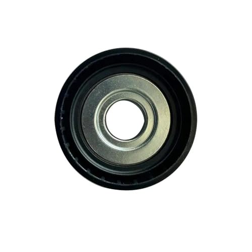 Poulie de renvoi 6422001070 pour Mercedes Classe S600 W220 longévité mécanique