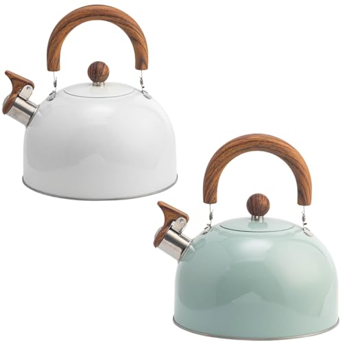 Bouilloire à sifflet induction en acier inoxydable 3 L vert clair sans odeur