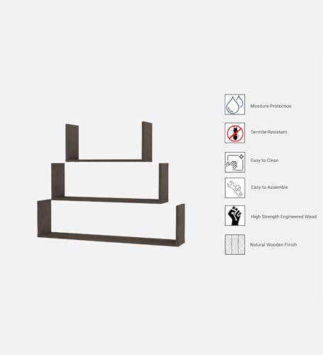 Image of Kite Multipurpose Modular Wall Racks /Shelves /Organiser /Decor Particle Board Wall Shelf (Number of Shelves - 3, Brown)