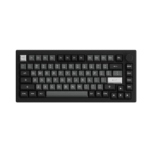 Akko 5075B Plus Mechanical Keyboard 75% Percent RGB...