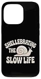 Shell Celebrating The Slow Life Snail