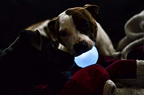 Outward Hound by Planet Dog Strobe Light Up LED Ball Dog Toy, Blue by Outward Hound - Used condition - Image 7