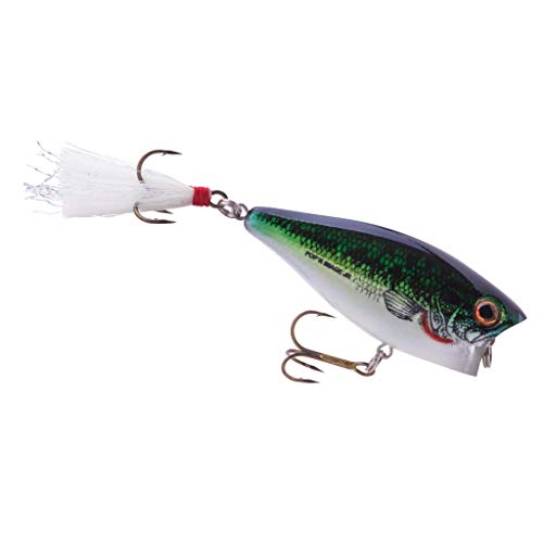 Do Topwater Bass Lures Work? Which Are Best? All Fishing Gear