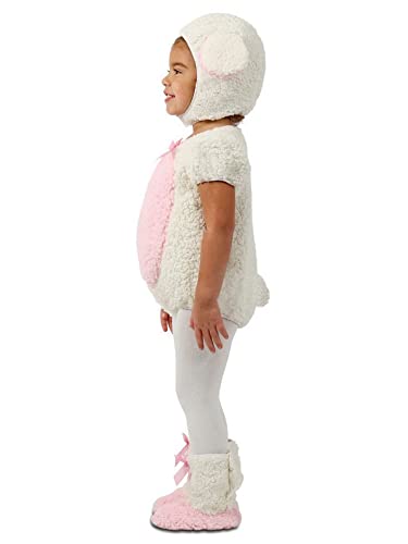 Princess Paradise Baby Girls Baby/Toddler Littlest Lamb Costumes, As Shown, 12 To 18 Months Us #TOP1