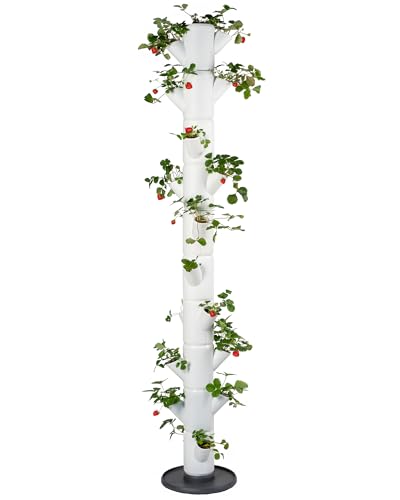 Gusta Garden Sissi Strawberry Erdbeerbaum Infinity Weiß - Hochbeet System Erdbeeren mit Wandhalterung - Garten & Balkon - 185 cm Höhe - 25L Erdvolumen