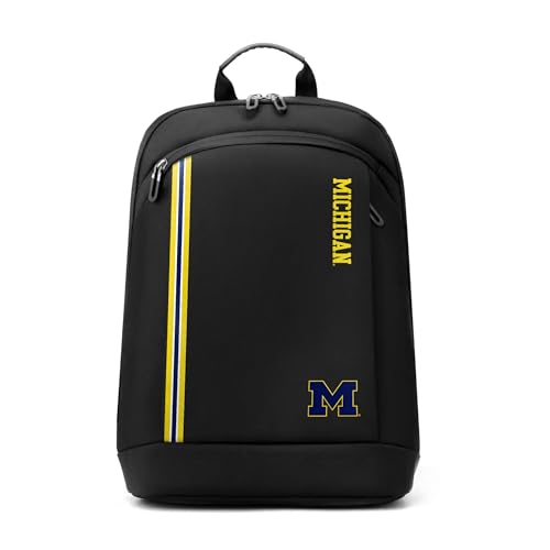 Image of SOAR Collegiate 14 Inch Laptop Bag, Team Color, One Size
